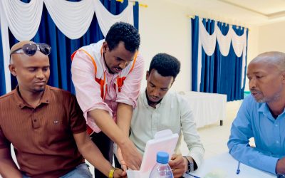 Somalia introduces Digital Adherence Technologies